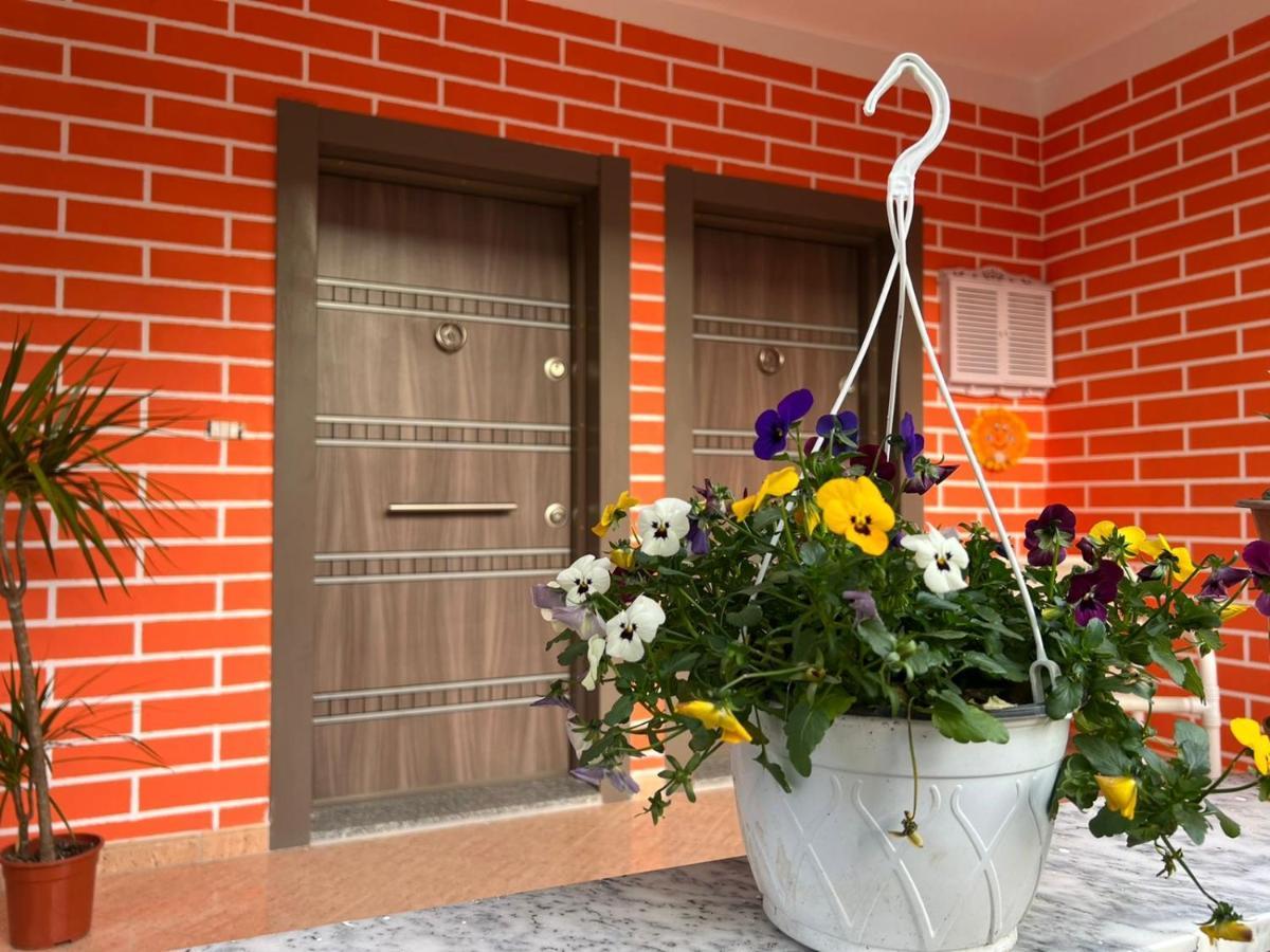 Chestnut Yard Villa Tirana Zewnętrze zdjęcie