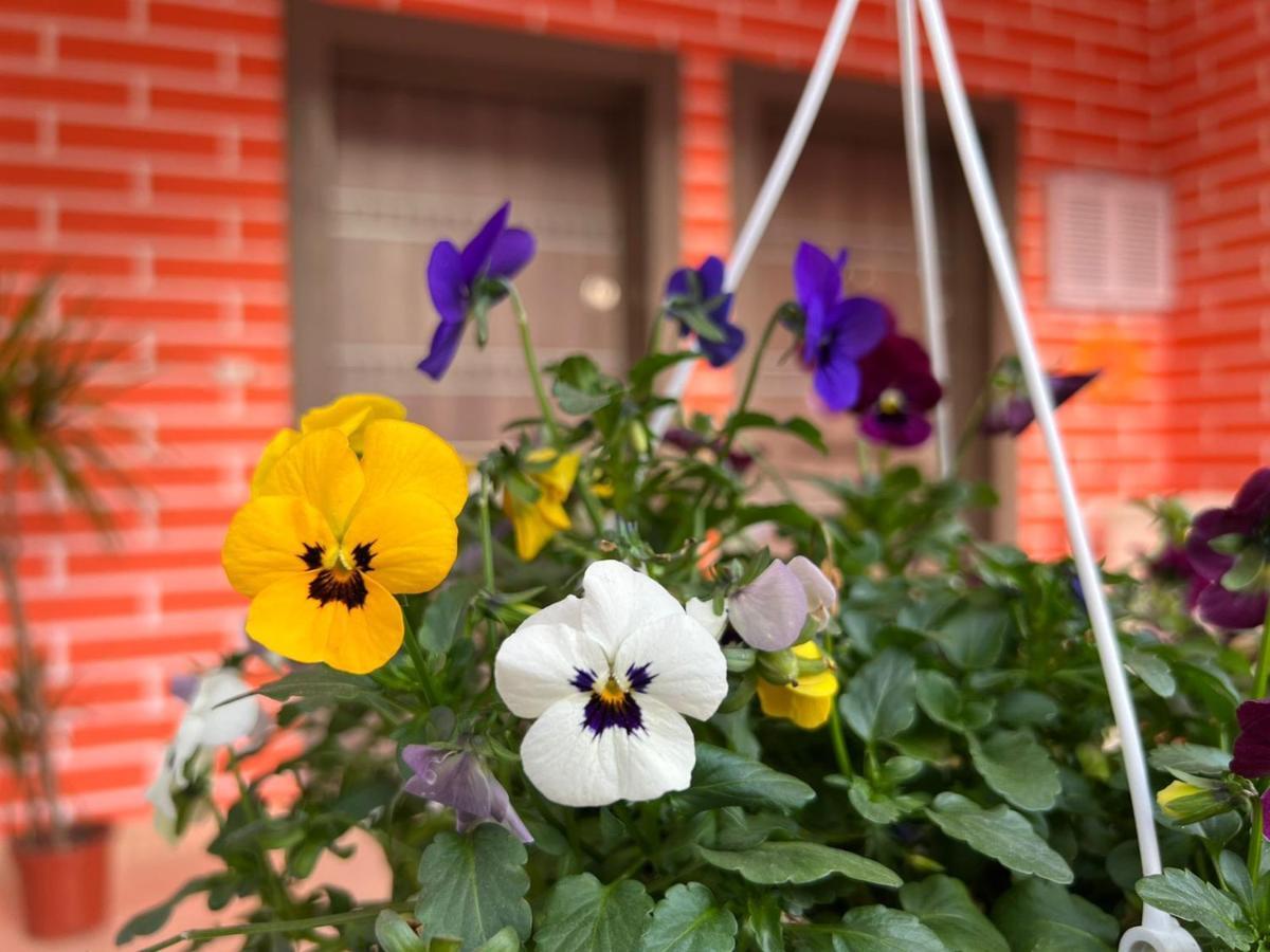 Chestnut Yard Villa Tirana Zewnętrze zdjęcie